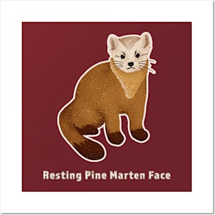 Resting Pine Marten Face Posters and Art